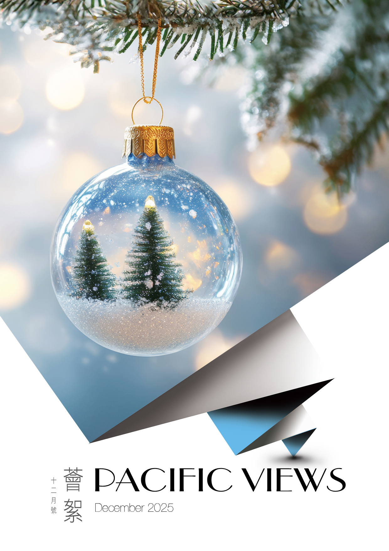 PACIFICVIEWS_Dec_2025_p1
